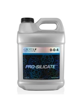 Pro Silicate 10L